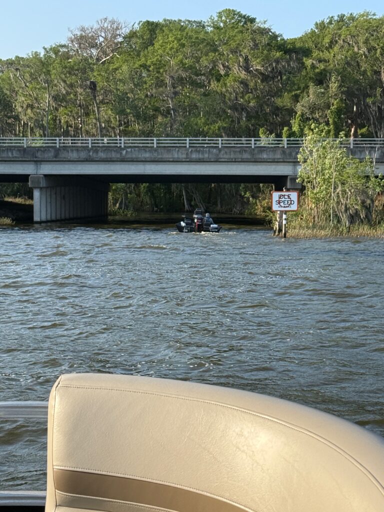 Harris Chain of Lakes Boat Rental-Delivered